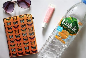 summer necessities