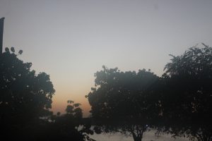 silhouette of trees a sun sets in Jamaica