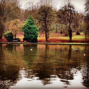 image of a lake in a country village kent