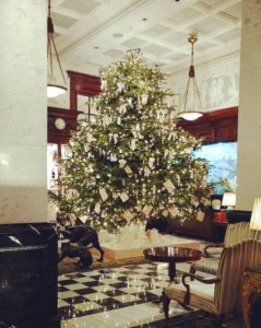 Christmas Tree from The Savoy, London before eating our food